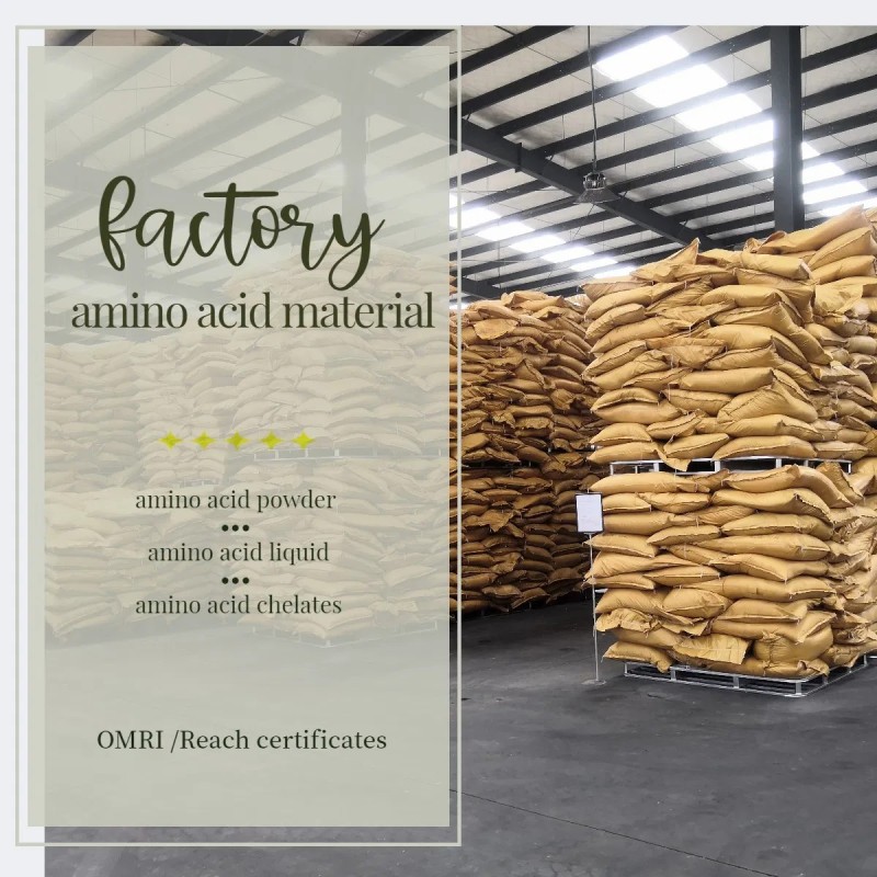 Advanced Hydrolyzed Amino Acid Blend Powder 80% for Agricultural Success