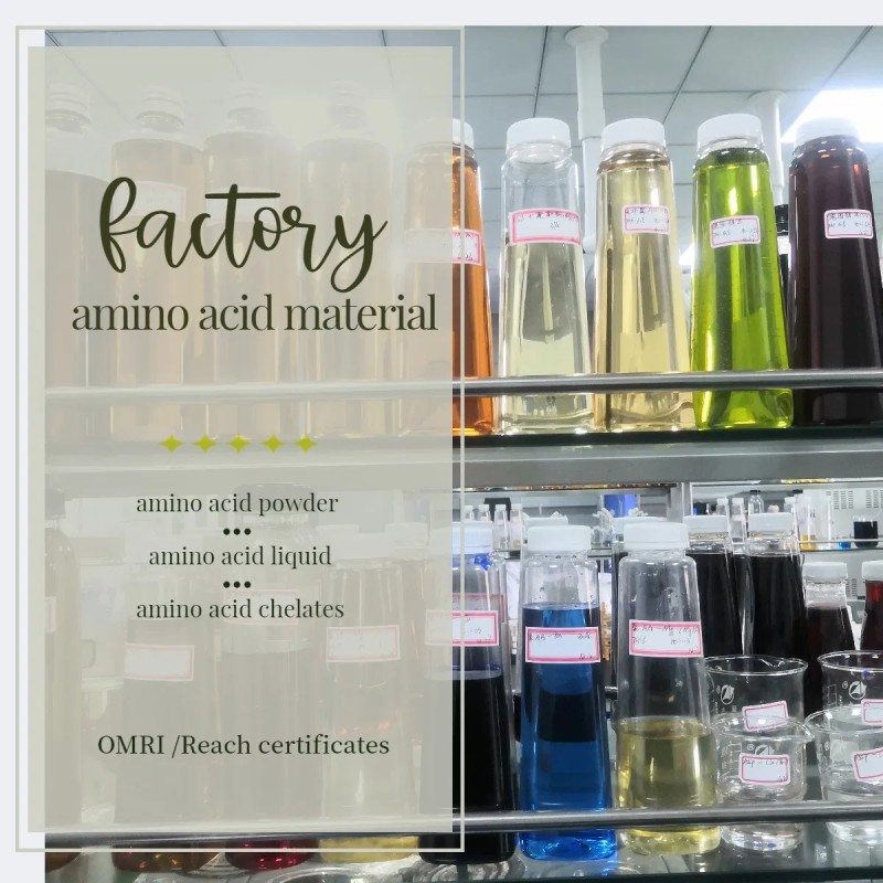 Advanced Hydrolyzed Amino Acid Blend Powder 80% for Agricultural Success