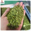 New Harvested China Pumpkin Seeds Kernel in Low Price
