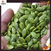 New Harvested China Pumpkin Seeds Kernel in Low Price