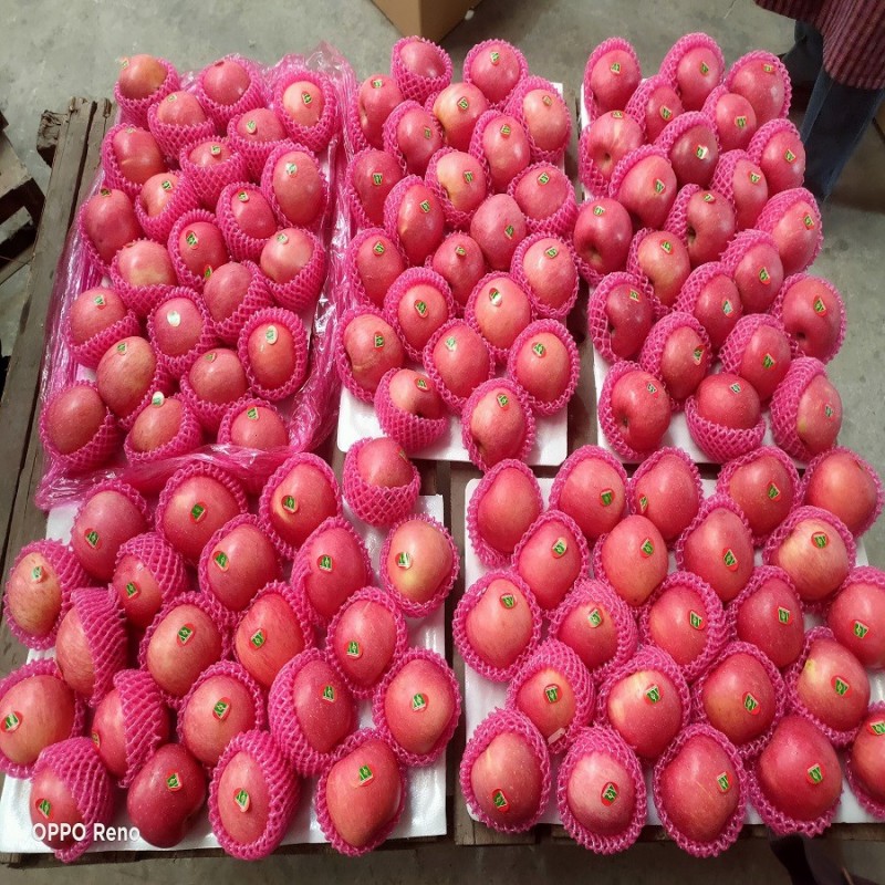 Blush Red Paper Bagged FUJI Fresh Apples