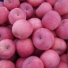 Blush Red Paper Bagged FUJI Fresh Apples
