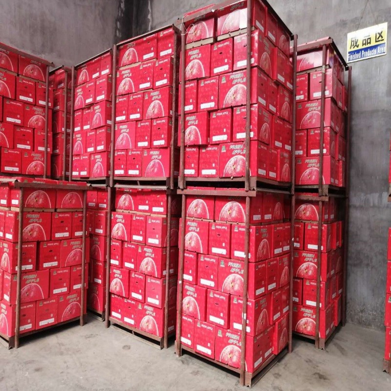 Blush Red Paper Bagged FUJI Fresh Apples