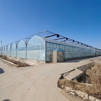 Hot-DIP Galvanized Steel Pipes Intelligent Durable High Performance Steel Structure Greenhouse