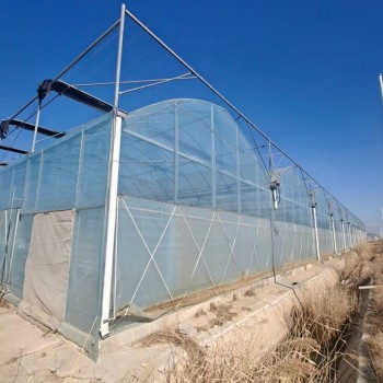 Hot-DIP Galvanized Steel Pipes Intelligent Durable High Performance Steel Structure Greenhouse