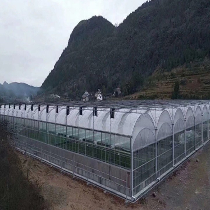 Hot-DIP Galvanized Steel Pipes Intelligent Durable High Performance Steel Structure Greenhouse