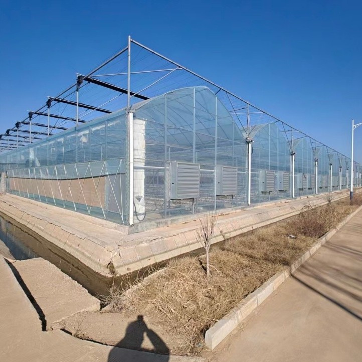 Hot-DIP Galvanized Steel Pipes Intelligent Durable High Performance Steel Structure Greenhouse