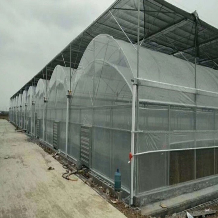Hot-DIP Galvanized Steel Pipes Intelligent Durable High Performance Steel Structure Greenhouse