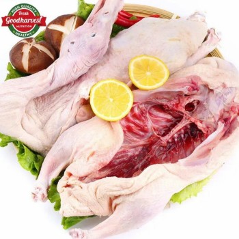 Frozen Whole Duck a for Export Fresh Taste Halal Certified Bulk Supply