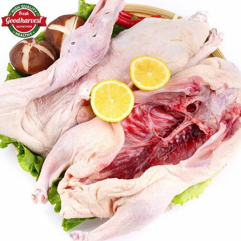Frozen Whole Duck a for Export Fresh Taste Halal Certified Bulk Supply