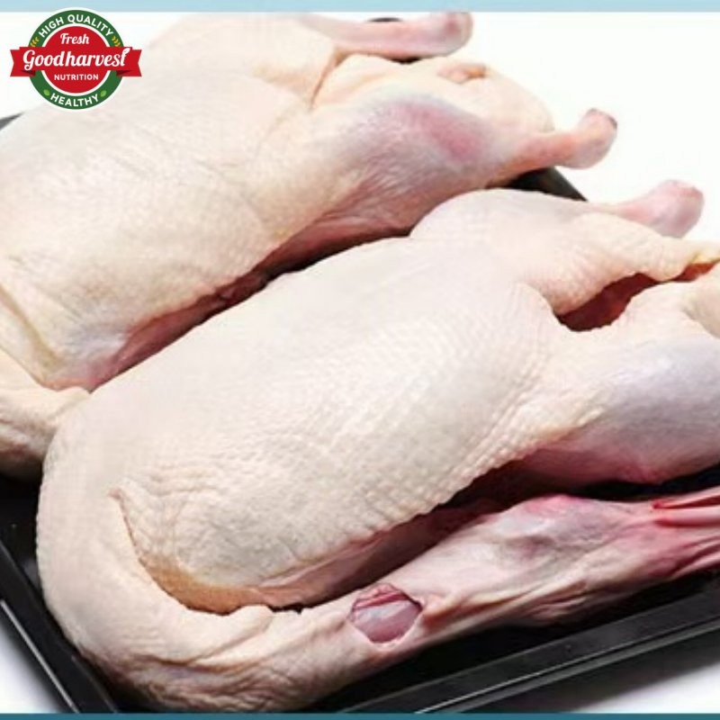 Frozen Whole Duck a for Export Fresh Taste Halal Certified Bulk Supply
