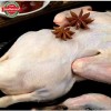 Frozen Whole Duck a for Export Fresh Taste Halal Certified Bulk Supply