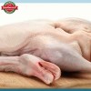 Frozen Whole Duck a for Export Fresh Taste Halal Certified Bulk Supply