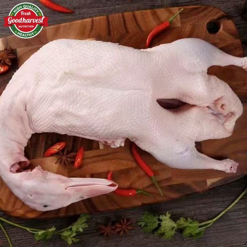 Frozen Whole Duck a for Export Fresh Taste Halal Certified Bulk Supply
