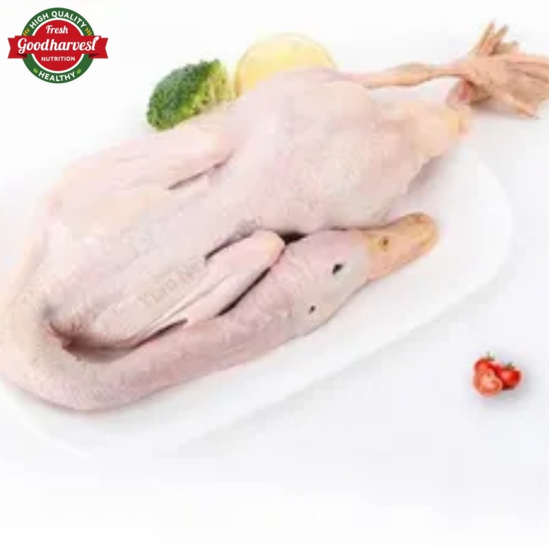 Frozen Whole Duck a for Export Fresh Taste Halal Certified Bulk Supply