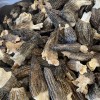 Handpicked Dried Morel Mushrooms for Exquisite Gourmet Dishes