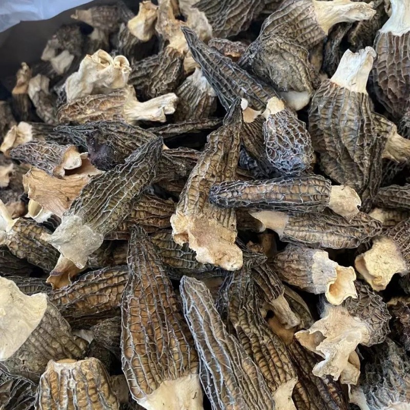Handpicked Dried Morel Mushrooms for Exquisite Gourmet Dishes