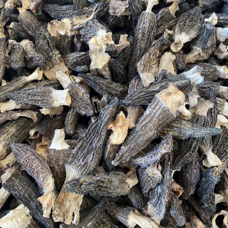 Handpicked Dried Morel Mushrooms for Exquisite Gourmet Dishes