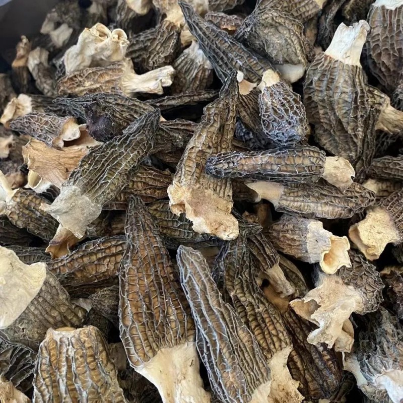 Handpicked Dried Morel Mushrooms for Exquisite Gourmet Dishes