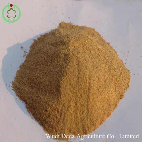 Meat Bone Meal Animal Protein Feed Hot Sale