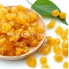 China Dried Physalis Dried Goldenberry Preserved Physalis Hot Selling