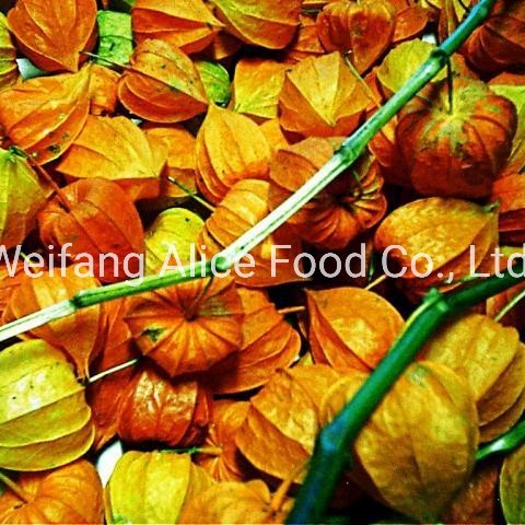 China Dried Physalis Dried Goldenberry Preserved Physalis Hot Selling