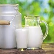 Fat Filled Milk Powder for Cold Drinks