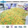 High Quality IQF Frozen Mixed Vegetables with Good Price