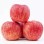 Wholesale Price of Farm Selected High-Quality and Fresh Delicious Red FUJI Apples
