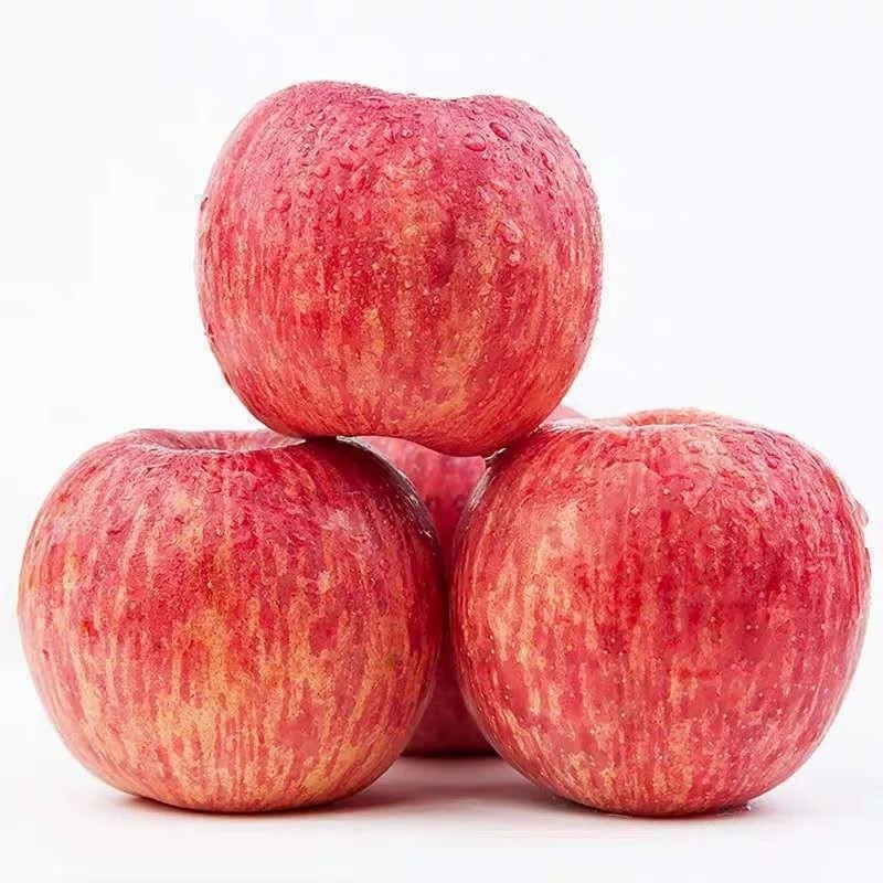 Wholesale Price of Farm Selected High-Quality and Fresh Delicious Red FUJI Apples