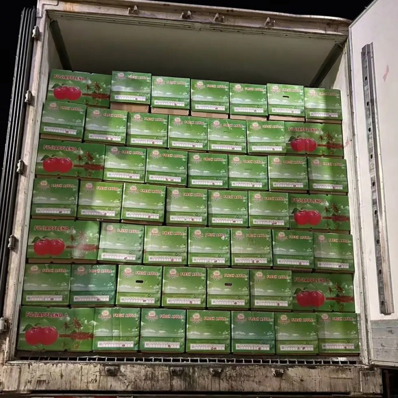 Wholesale Price of Farm Selected High-Quality and Fresh Delicious Red FUJI Apples