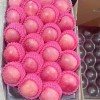 Wholesale Price of Farm Selected High-Quality and Fresh Delicious Red FUJI Apples