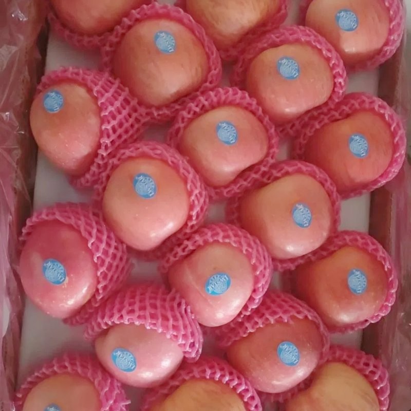 Wholesale Price of Farm Selected High-Quality and Fresh Delicious Red FUJI Apples