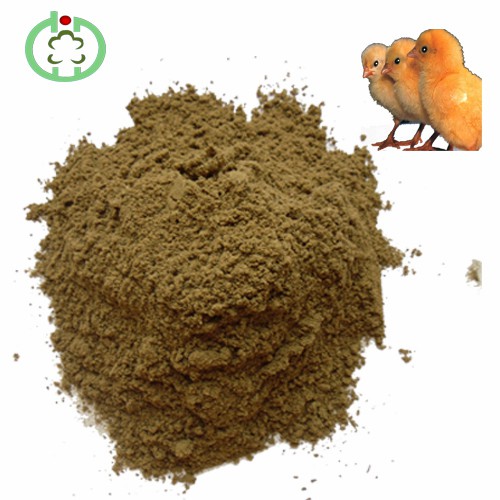Fishmeal Manufactur Price High Protein Delivery on Time