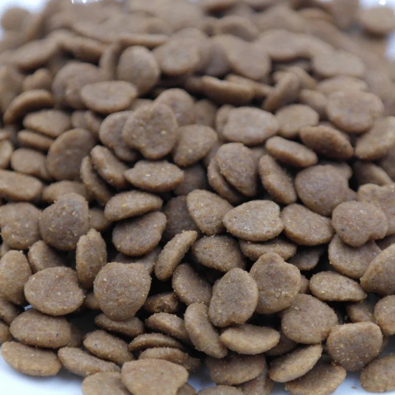Different Flavor Dog Food Best Quality Food for Dog/Cat High Protein Food