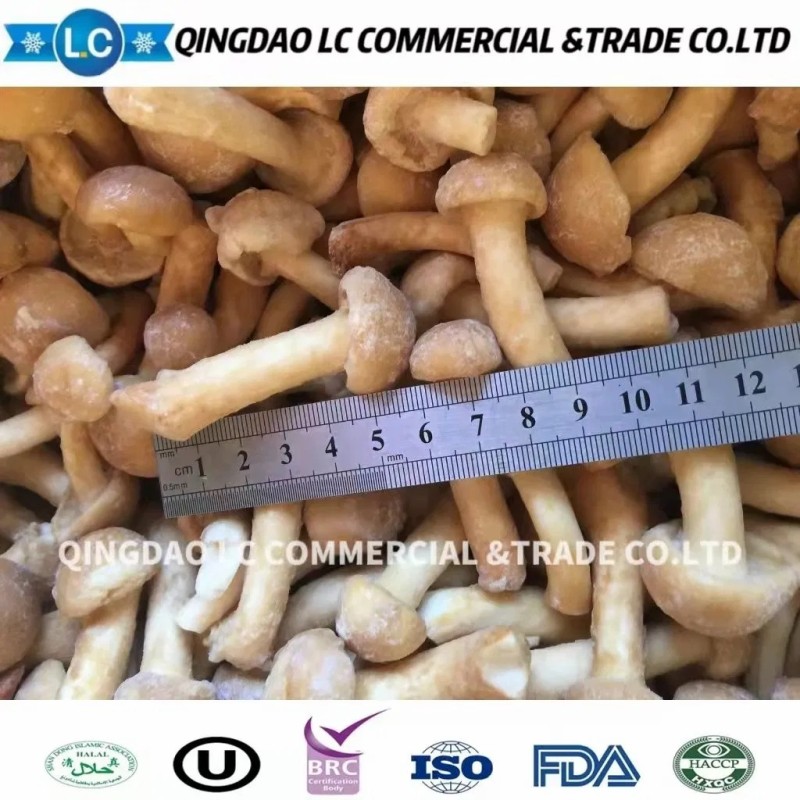 Factory Hot Selling Healthy Frozen Nameko Mushroom