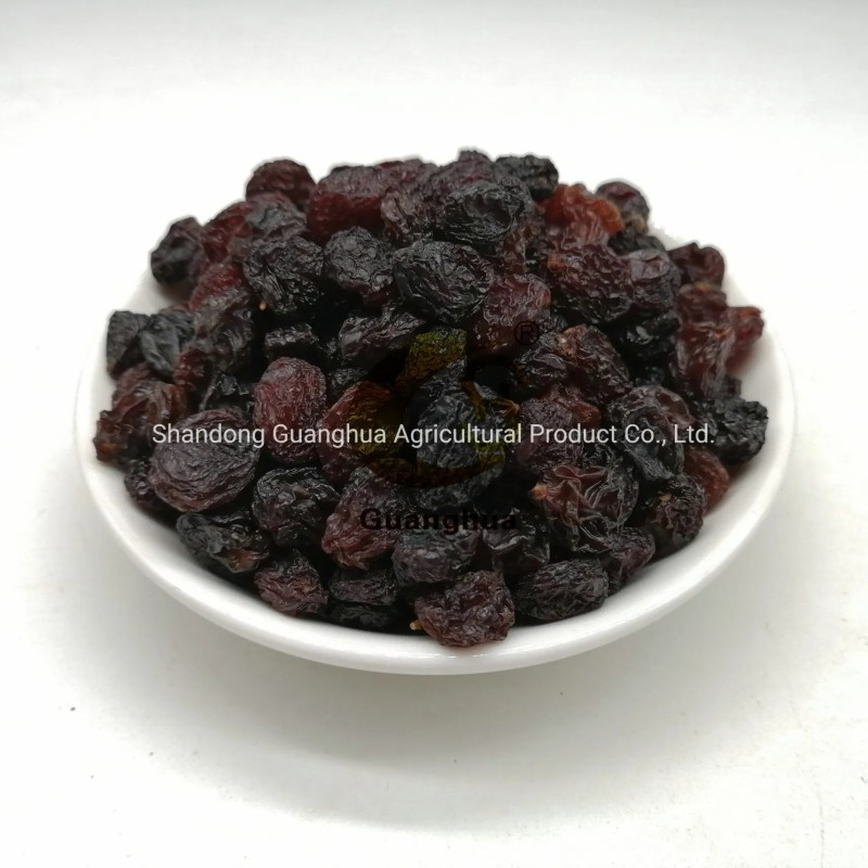 Pure Natural Color Raisin Cheap Price for Export