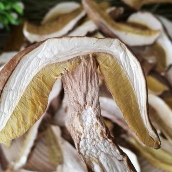 Dried Mushroom Edible Fungus Boletus Edulis Porcini