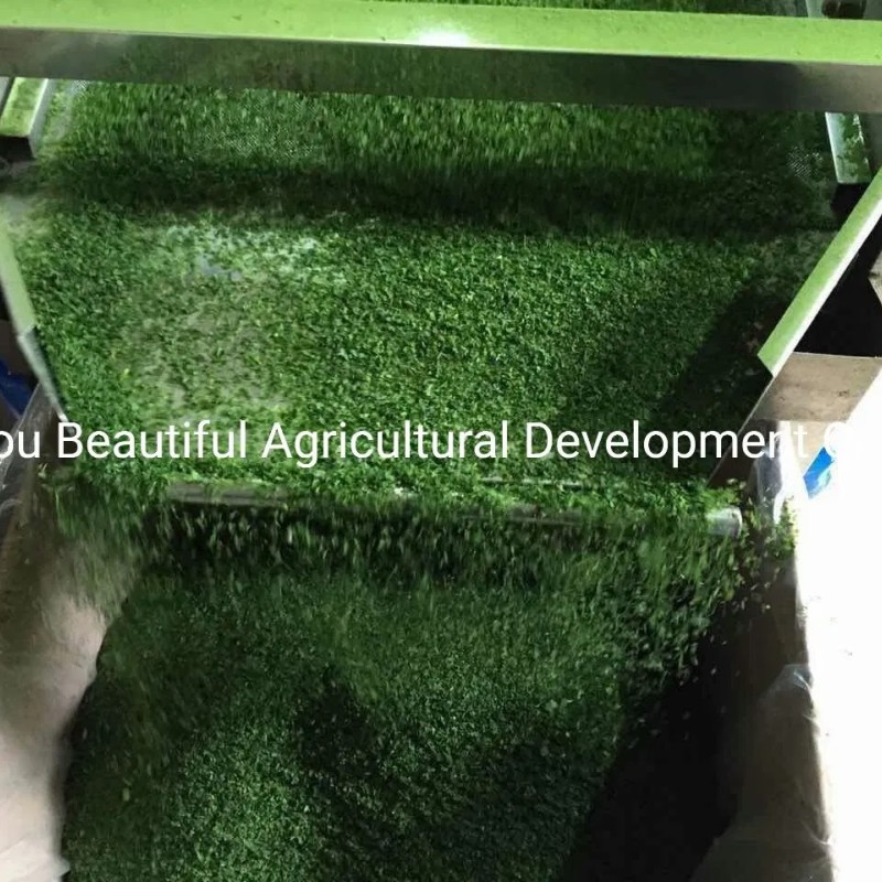 Food Grade Ulva Lactuca/Aonori Seaweed