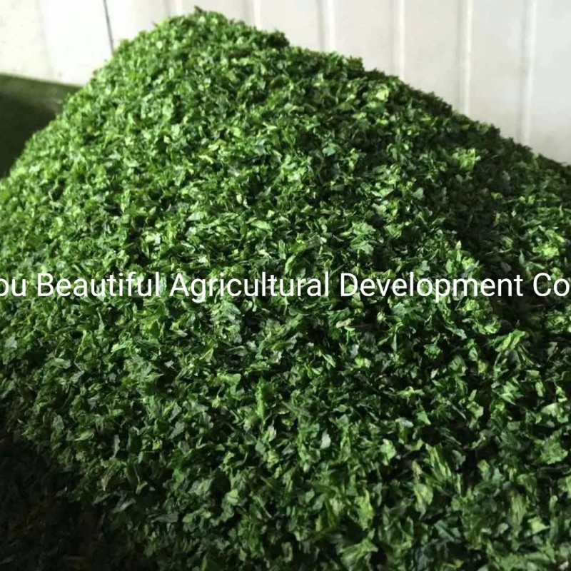 Food Grade Ulva Lactuca/Aonori Seaweed