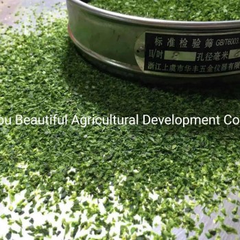 Food Grade Ulva Lactuca/Aonori Seaweed