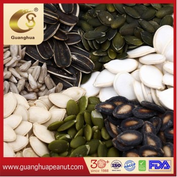 Crop 2025 Shine Skin Pumpkin Seed Kernels AAA Grade
