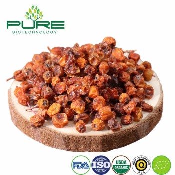 Premium Organic Dried Seabuckthorn Berries Rich in Nutrients