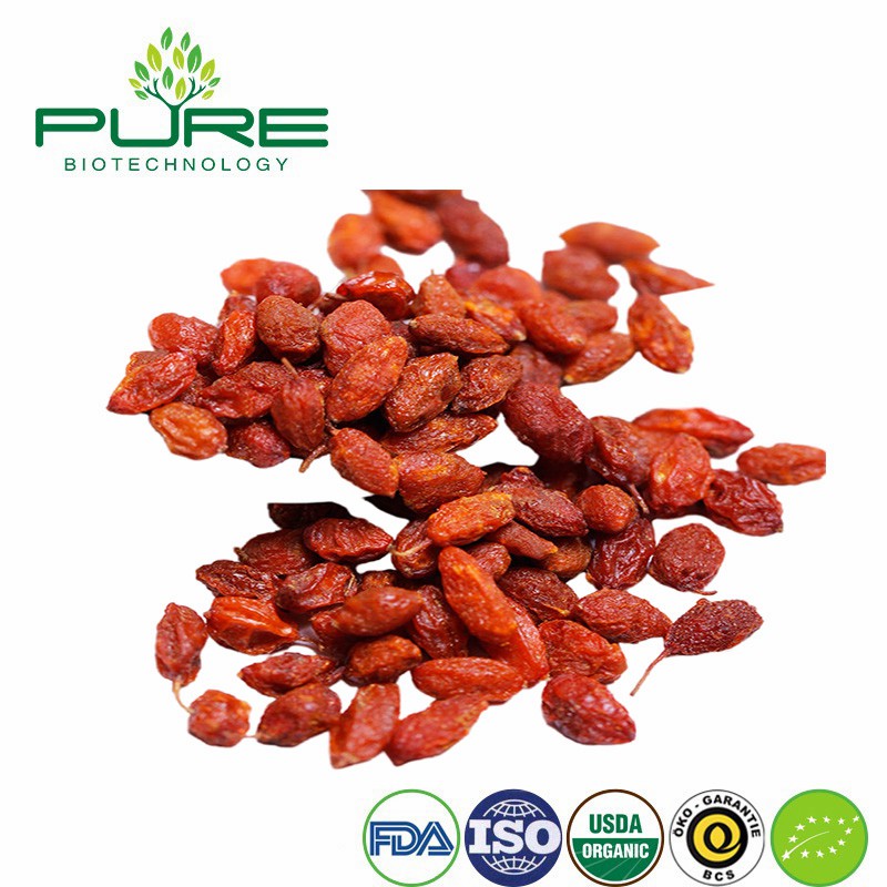 Premium Organic Dried Seabuckthorn Berries Rich in Nutrients