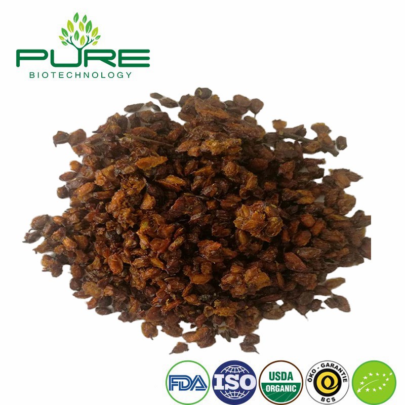 Premium Organic Dried Seabuckthorn Berries Rich in Nutrients