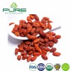 Premium Organic Dried Seabuckthorn Berries Rich in Nutrients