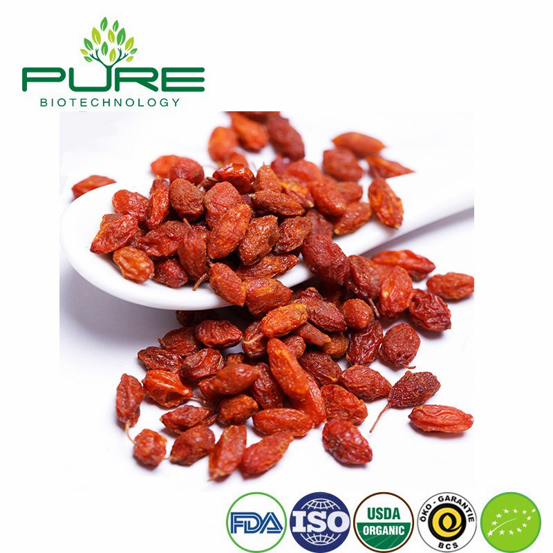 Premium Organic Dried Seabuckthorn Berries Rich in Nutrients