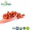 Premium Organic Dried Seabuckthorn Berries Rich in Nutrients