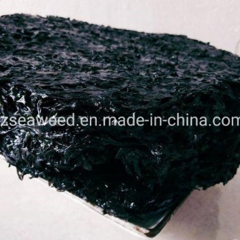 OEM Product Health Seaweed Dried Nori for Food Cooking