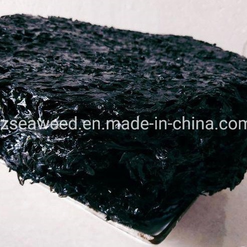 OEM Product Health Seaweed Dried Nori for Food Cooking